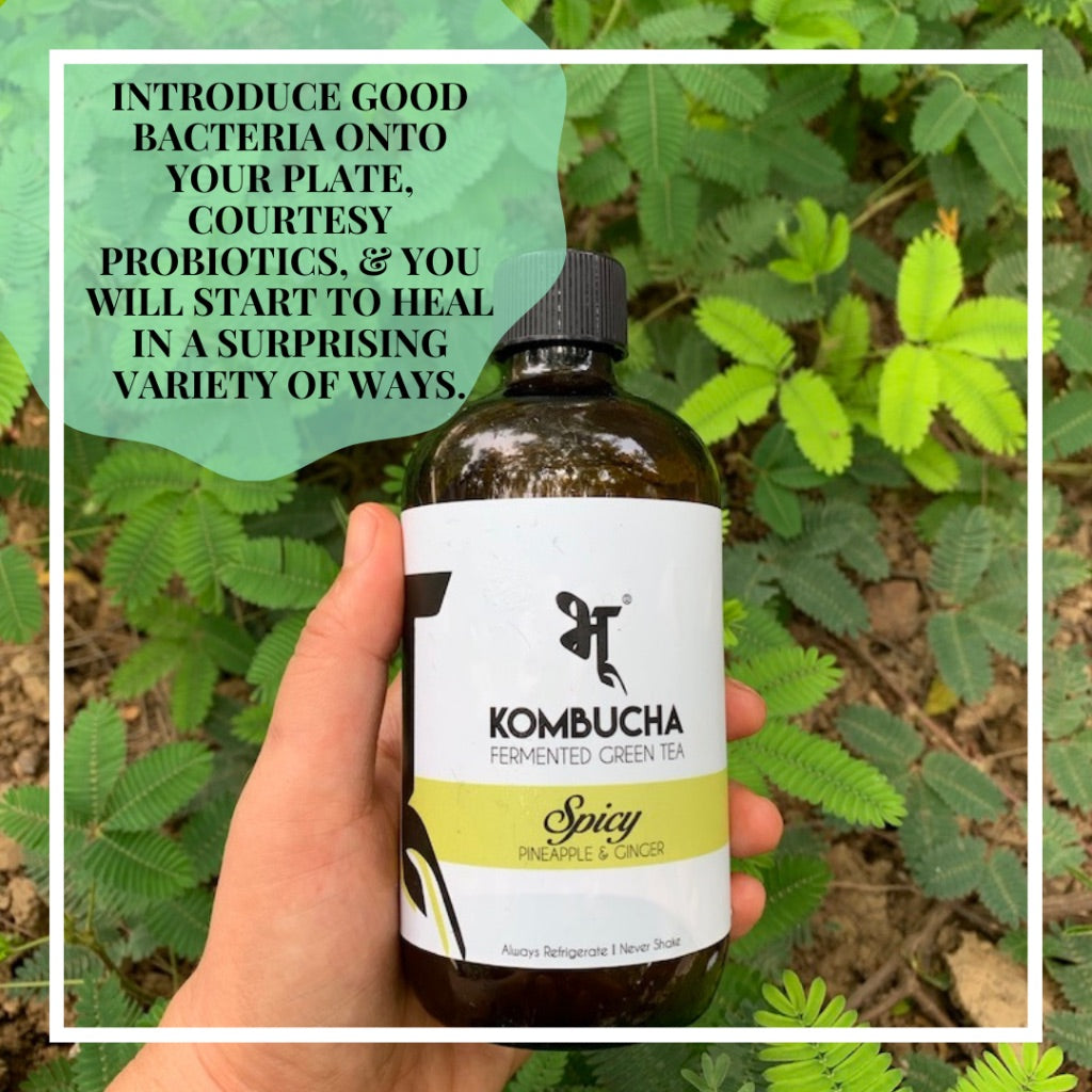 Spicy Pineapple & Ginger Kombucha Bhu Kombucha